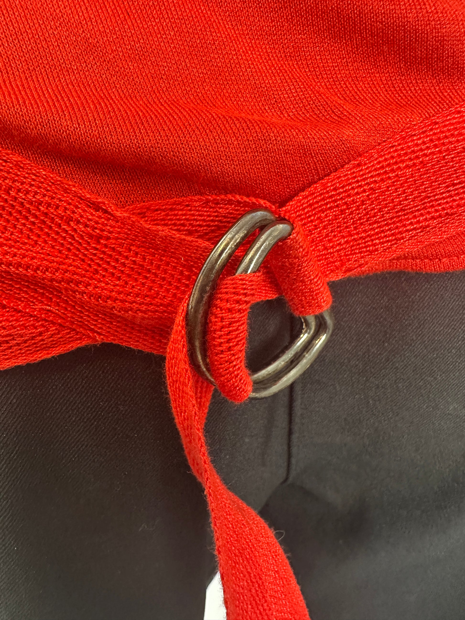 Close-up of a red strap with a metal buckle on a dark background